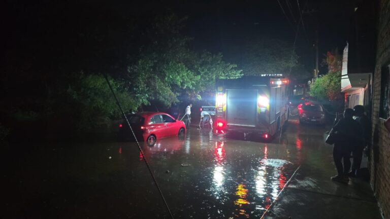 Tormenta provoca inundaciones y caída de árboles en Morelia