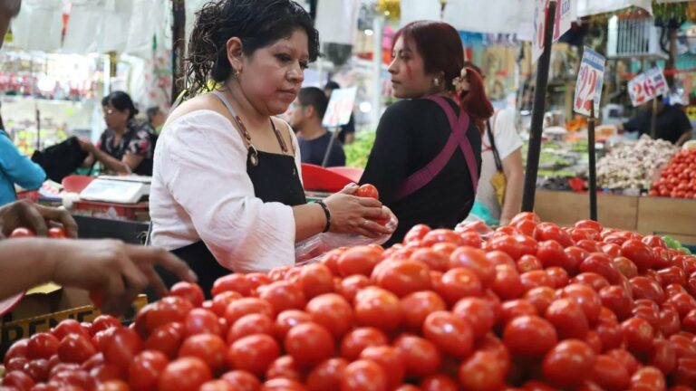 Acuerdan medidas para bajar precio del jitomate