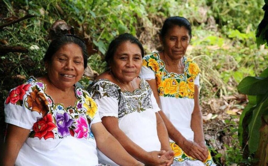Yucatán pierde hablantes de maya pese a esfuerzos de preservación 1 Yucatán pierde hablantes de maya pese a esfuerzos de preservación