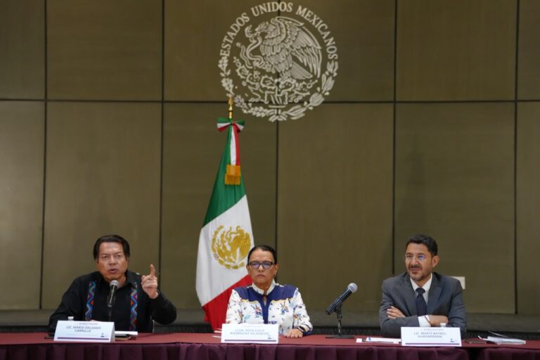 Gobierno propone aseguradora pública para pensiones