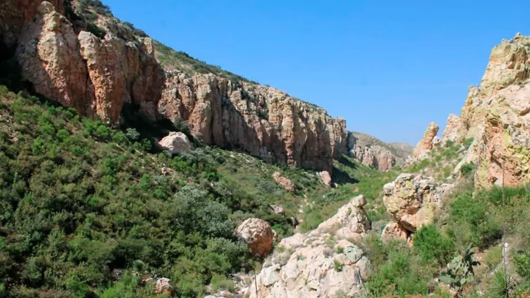 Descubren ocho sitios de arte rupestre en Zacatecas