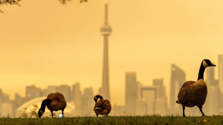Incendios en Canadá obligan a evacuar comunidad en Ontario