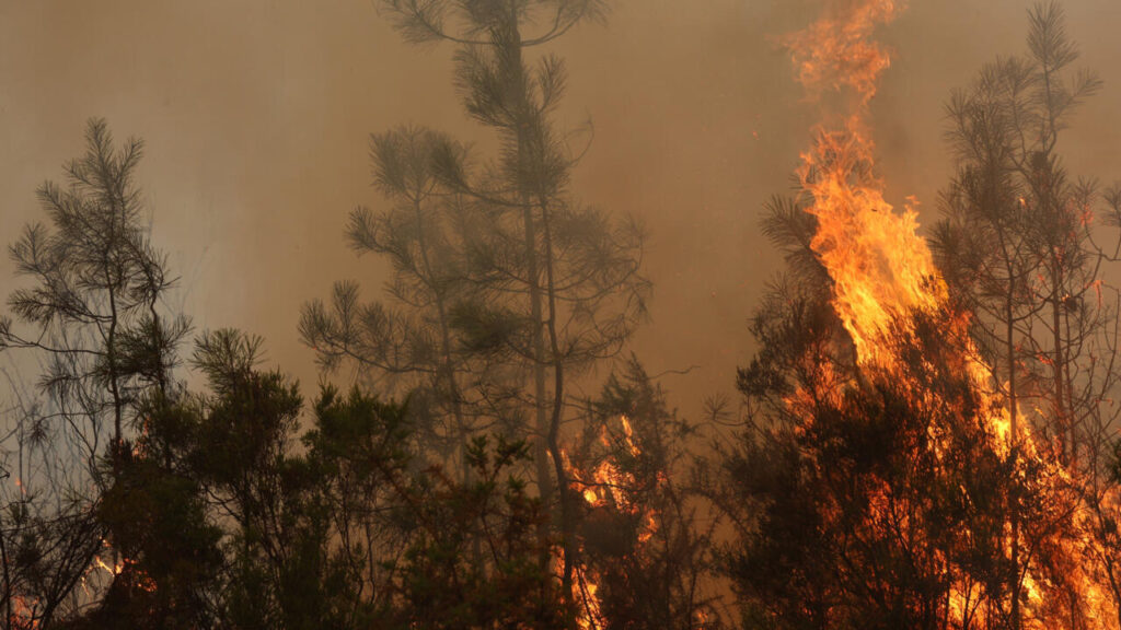 Incendios amenazan Burdeos y dejan miles de evacuados 1 Incendios amenazan Burdeos y dejan miles de evacuados