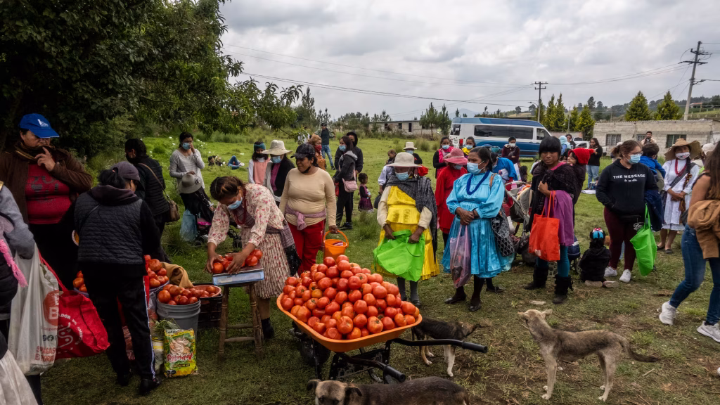 Sheinbaum: 21.6 millones aún enfrentan inseguridad alimentaria 2 Sheinbaum: 21.6 millones aún enfrentan inseguridad alimentaria