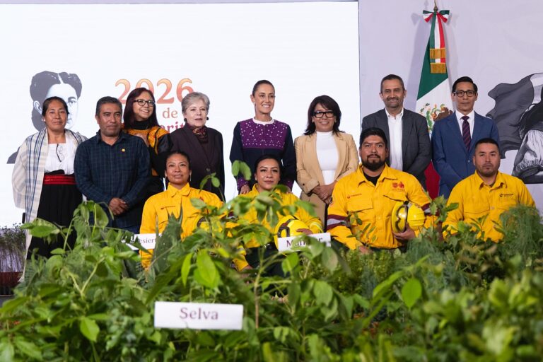 Sheinbaum lanzará Jornada Nacional de Reforestación