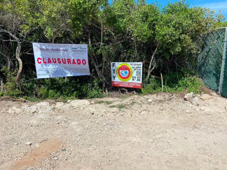 Profepa clausura proyecto turístico Las Dunas en Yucatán por daño ambiental