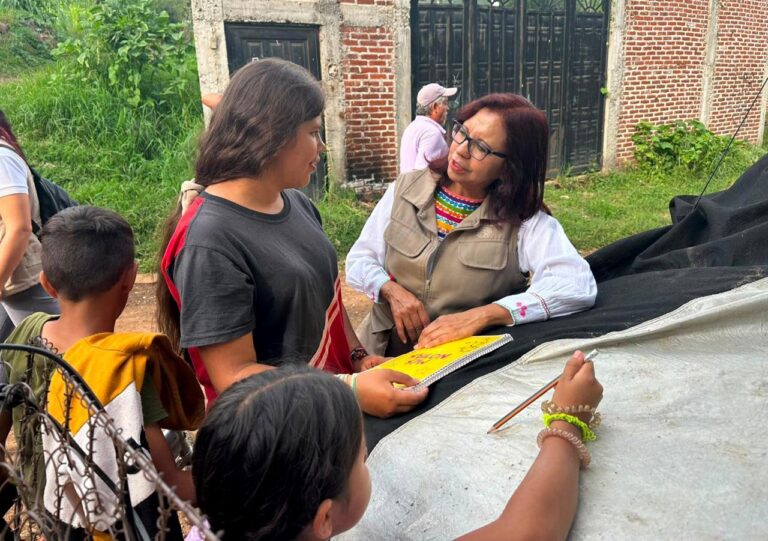 Plan Michoacán lleva Programas de Bienestar casa por casa