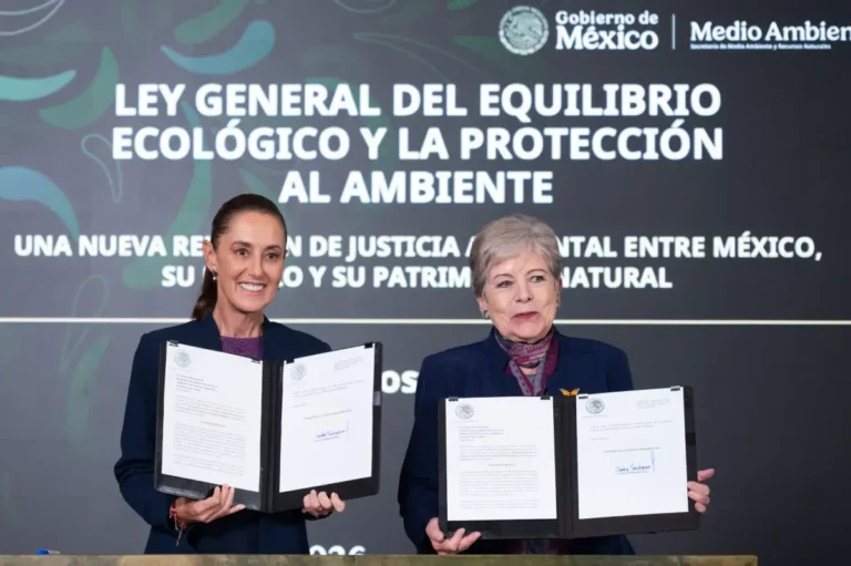 Gobierno propone actualizar ley ambiental tras casi 40 años