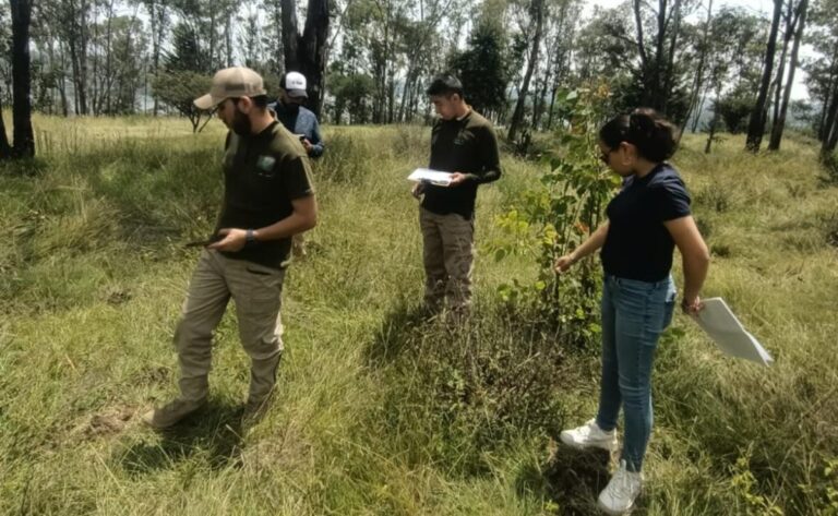 Detectan posible invasión en parque ecológico de Izcalli