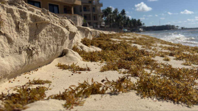 Quintana Roo prepara recuperación de 33 km de playas