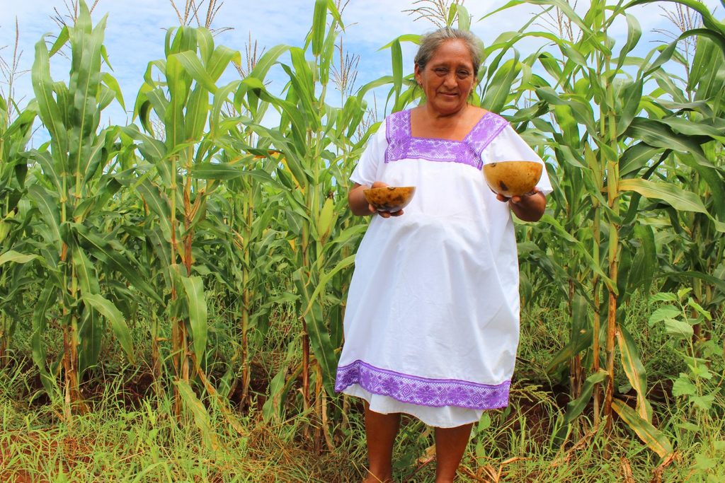 Secretaría de las Mujeres presenta cartilla sobre derechos de campesinas 2 Secretaría de las Mujeres presenta cartilla sobre derechos de campesinas