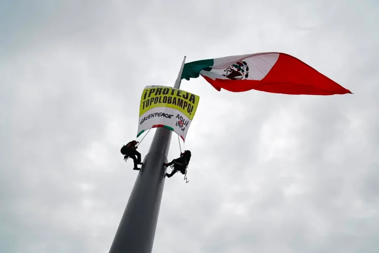 Greenpeace exige cancelar megaplanta de amoniaco en Sinaloa