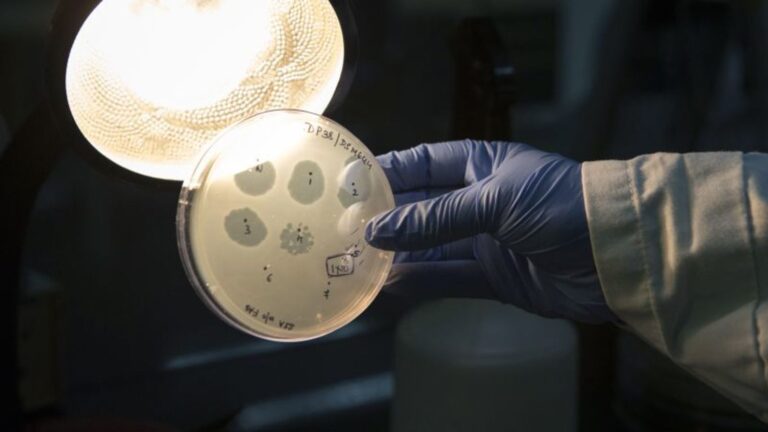 IA diseña un virus para combatir bacterias resistentes