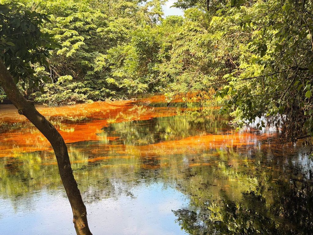 Contienen derrame de diésel en arroyo Chacalapa, Veracruz 1 Contienen derrame de diésel en arroyo Chacalapa, Veracruz