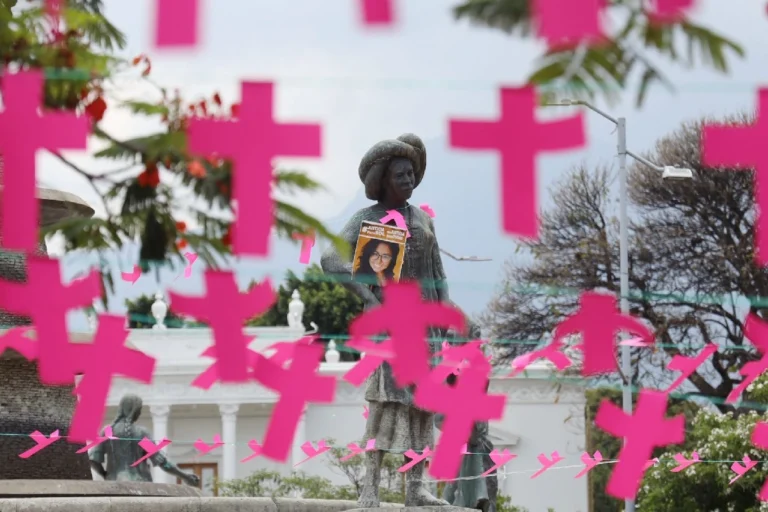Senado amplía plazo para discutir ley contra el feminicidio