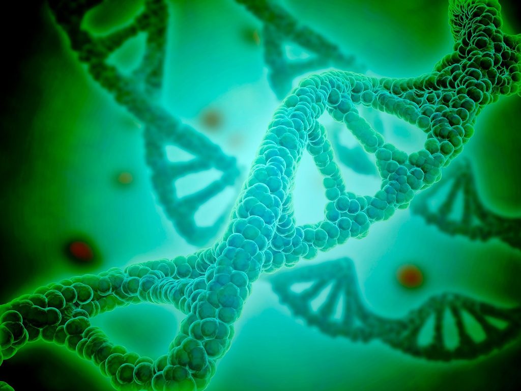 Edición genética corrige ADN dentro del cuerpo humano 1 Edición genética corrige ADN dentro del cuerpo humano