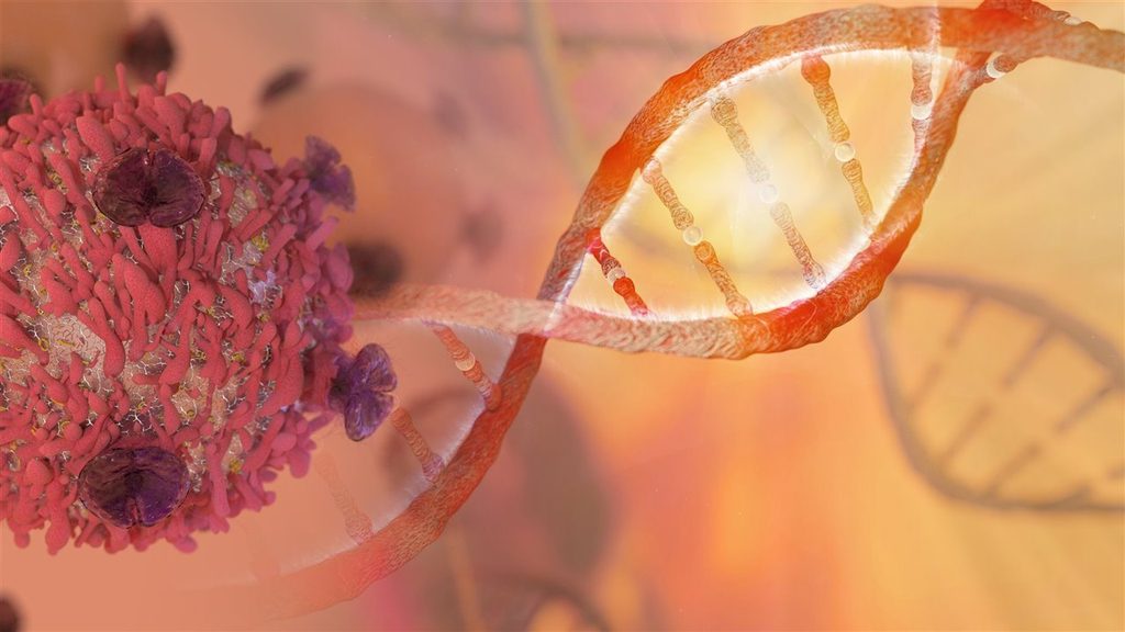 Edición genética corrige ADN dentro del cuerpo humano 2 Edición genética corrige ADN dentro del cuerpo humano