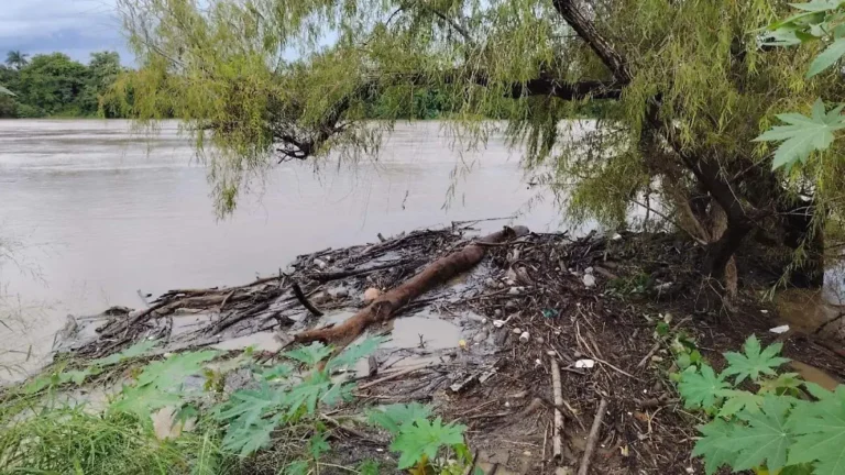 Río Pánuco alcanza 4.1 metros y prevén máximo el sábado